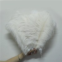 Plumes d'autruche noires naturelles 40 cm, prix d'usine, matériaux artisanaux, accessoires de couture, décoration de coiffure pour la danse DIY