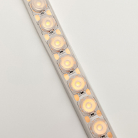 Promotion : Bande LED Flexible Extérieure Étanche 1 LED 1 Coupure, Éclairage Souple pour Façade, IP67 DC24V, Facilement Pliable, Projecteur Mural LED Flexible