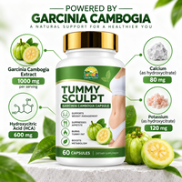 Capsules de Garcinia Cambogia à Marque Blanche, Brûleur de Graisse Naturel à Base de Plantes, Capsules de Biotine pour la Perte de Poids, Acide Hydroxycitrique (HCA), Vente en Gros Direct Usine