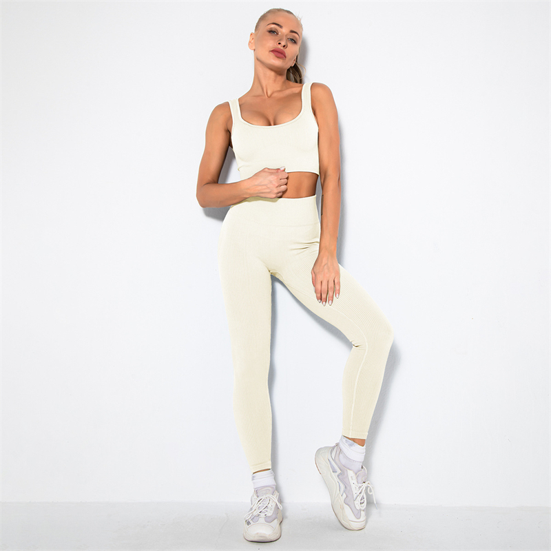 HOT 11 colors Fashion Modern Breathable Workout Clothing Popular Women Active Wear Yoga Set hygroscopic