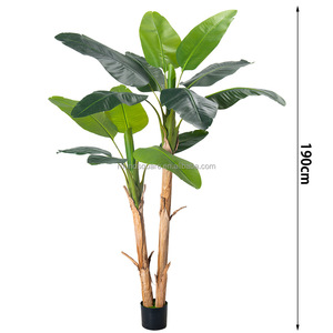 Planta Artificial de Plátano de Simulación Moderna, Ecológica, Duradera y de Lujo, Fabricada en China, para Hogar, Bodas y Centros Comerciales - Product Image 6