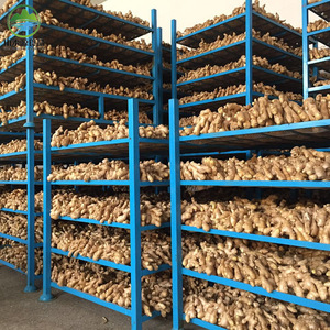 Chất Lượng Cao Gừng Xuất Khẩu Nhà Cung Cấp Mới Nhất Crop 2023 Gừng Khô Cho Bán Buôn Giá Rẻ Giá Carton Thương Mại Đảm Bảo Gừng Tươi - Product Image 4
