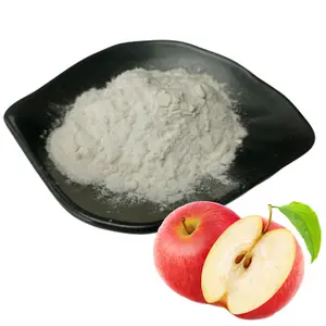 Factory Supply Organic Bulk Apple Fruit Extract Apple Cider Vinegar Powder