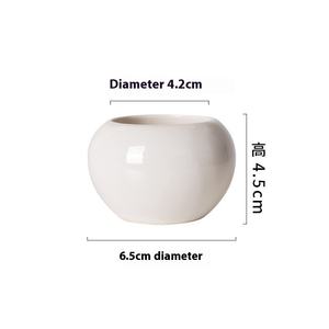 Vaso in Ceramica Smaltata Grande per Piante <span class=keywords><strong>Succulente</strong></span>, Ornamento Decorativo Creativo per la Casa - Product Image 6