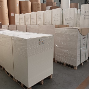 <b>Double</b> Side PE Coated <b>Sheet</b> - Product Image 3