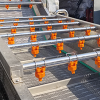 Machine à laver les fruits à bulles en acier inoxydable 304, machine à laver les fruits industrielle pour les usines de jus d'orange et de citron