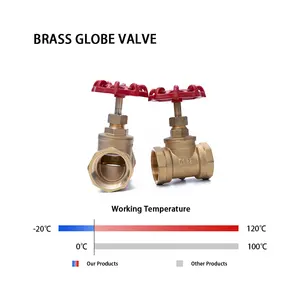 Penjualan langsung pabrik katup globe berulir NPT tipe B katup globe kuningan