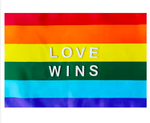 ธง LGBTQ สายรุ้งเกย์โพลีเอสเตอร์แบบกําหนดเอง 3X5FT พิมพ์ธงภูมิใจ LGBT