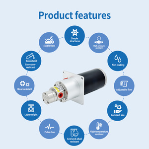 ปั๊มเกียร์แม่เหล็กขนาดเล็ก 60W 0.6 มล./รอบ 316L PEEK 24V ป้องกันการรั่วไหล ไม่ต้องบำรุงรักษา ใช้ได้กับแอลกอฮอล์ - Product Image 3