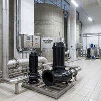 Pompe à eaux usées submersible anti-colmatage WQ en acier inoxydable, haute efficacité, grand débit, pompe de drainage verticale, pompe à eaux usées avec broyeur