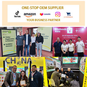 סיטוני טופרול טוקופרול 30% 50% 70% <span class=keywords><strong>d</strong></span> אלפא טוקופרול אבקת ויטמין <span class=keywords><strong>e</strong></span> - Product Image 3