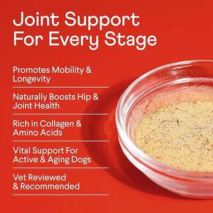 Polvo de suplemento de caldo de hueso Natural para mascotas de etiqueta privada para piel de perro y soporte de articulaciones con colágeno y cúrcuma - Product Image 2