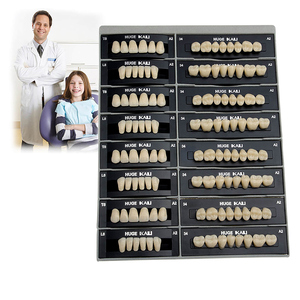 Resina Dental de Alta Calidad Azdent para Dentaduras Postizas A2/A3 - Product Image 2