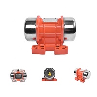 Moteur vibrant DC 12/24V MVE200DC, moteur vibrant étanche pour camion, pour machine à vibrations