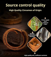 Varillas de Canela Cassia Secas Recién Cosechadas, Paquete de 500g, Hierba Natural para Té de Hierbas Tradicional y Vino Caliente