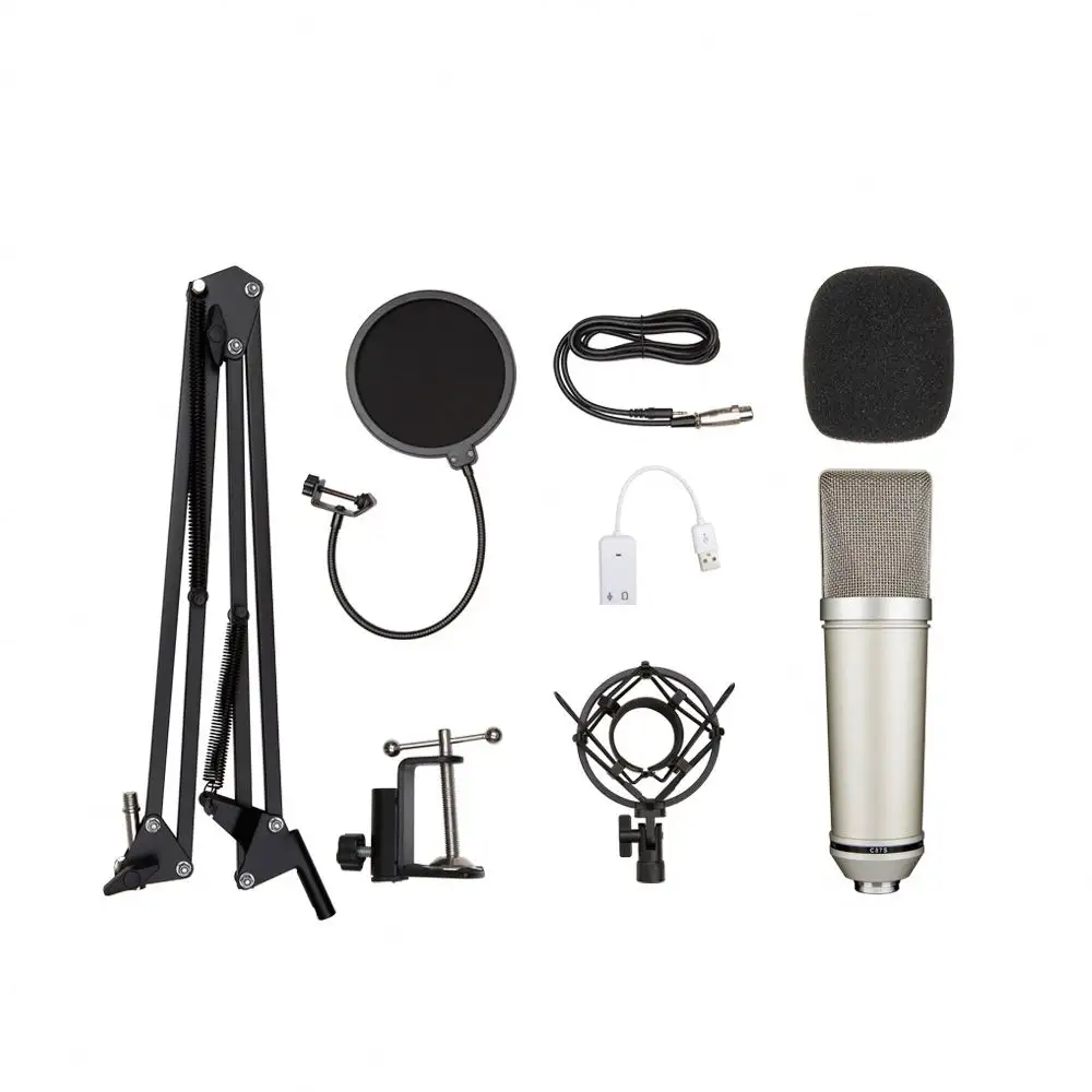 Hot Selling Professional Metal Voice Recording 3.5Mmusb Condenser Studio Microphone