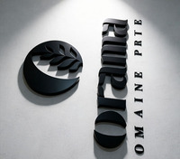 Lettres noires peintes par pulvérisation de qualité supérieure, 50 mm d'épaisseur, avec cadre en acier inoxydable, signalétique personnalisée durable et texture mate fine