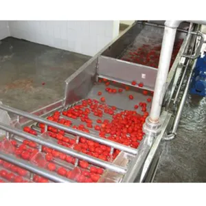 Tomato Paste Manufacturer Machine For Tomato Puree Or Tomato Sauce Making Line