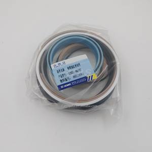 Kit de sellos de cilindro hidráulico compatible con XCMG Wheel Loader ZL50GV ZL30GV ZL40GV 860134961 para piezas de maquinaria de construcción - Product Image 4