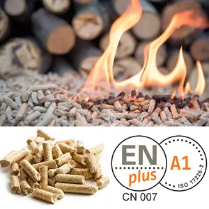 Enplus CN007 A1 Wood Burning High Quality 6mm 15 Kg Bags Fuel Wood Pellets Manufacturer For Pool Heater OEM Biomass Wood Pellets