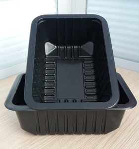 Biểu tượng tùy chỉnh dùng một lần khay nhựa vỉ quá trình PP Pet Chất liệu hình chữ nhật hình dạng cho bánh Sushi salad bánh pizza bán buôn - Product Image 3