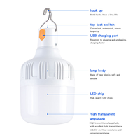 Lampe de camping d'urgence rechargeable 20W 30W 40W 50W, plafonnier LED rechargeable blanc, garantie 1 an, ampoule LED