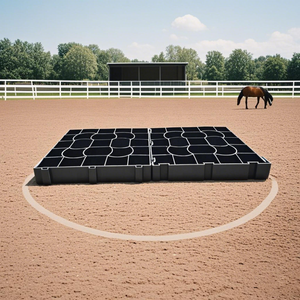 Pavés perméables en nid d'abeille JNZ pour écurie, allée, zone <span class=keywords><strong>de</strong></span> stationnement, stabilisateur <span class=keywords><strong>de</strong></span> gravier, dalle <span class=keywords><strong>de</strong></span> béton, gazon, travaux <span class=keywords><strong>de</strong></span> terrassement - Product Image 3