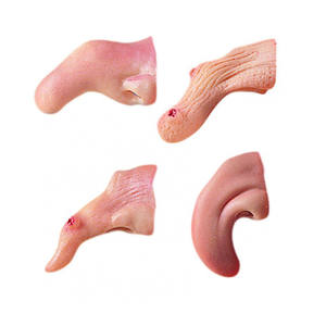 NARICES DE BRUJA MODELOS SORPRESA - Product Image 1