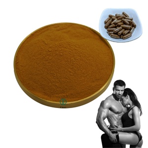 대량 공급 통카트 알리 추출물-Eurycomanone 천연 1% 2% Eurycomanone 통카트 알리 보충 추출물 분말 - Product Image 1