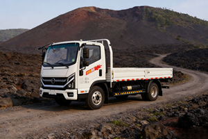 Nouveau camion de fret léger de 5 tonnes, diesel, véhicule électrique pur, 4x2, cabine simple et demi, conduite à gauche, une rangée de 3 sièges - Product Image 5