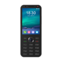 Teléfono Celular Kosher de 3.5" con 4G VoLTE, Teclado Hebreo, Sin Internet, Sin Redes Sociales, Salud Digital, Teléfono para Estudiantes, Teléfono Celular Sencillo