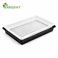 Plateau de germination rectangulaire en PP robuste, prix usine, avec grille de drainage 540x270mm, écologique, pour la culture de semis et de pousses de haricots