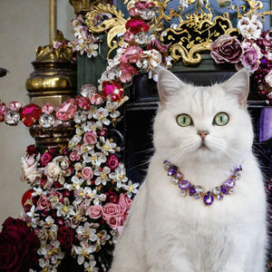 Collier de luxe pour animaux de compagnie en alliage orné de cristaux et de strass, design à pois, pour chats et chiens - Product Image 3