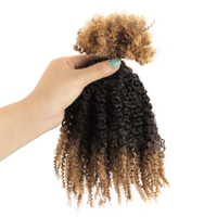 Vente en Gros de Mèches Pour Tresses Afro Kinky en Cheveux Humains, Volume 30 1B 30 Micro Torsades en Cheveux Humains