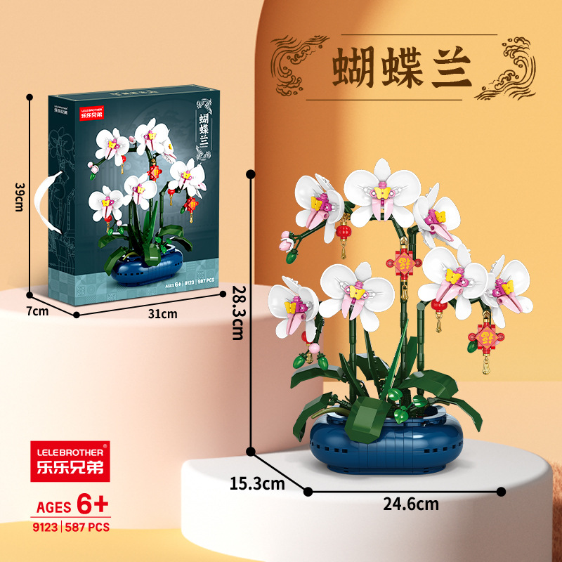 (80 personnes sélectionnées) 9123 Orchidée Phalaenopsis 587 graines