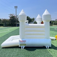 Château de rebond gonflable le plus vendu avec des conceptions personnalisables de ventilateur de trampoline pour des enfants et des adultes sautant l'amusement