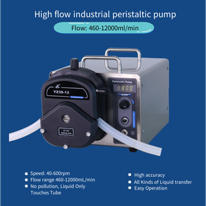 Ditron-tech Chinese Factory Large High Flow Peristaltic <b>Pump</b> WG600-2J Large Peristaltic <b>Pump</b> WG600-2J - Product Image 5