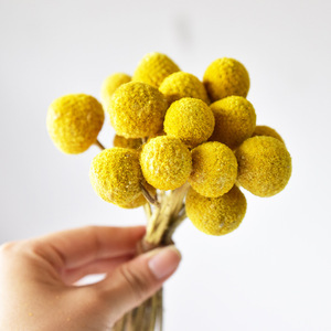 Ramo de Flores Secas Naturales Preservadas, Personalizable, Decoración Nupcial para Bodas, Top Ventas 2026, Bola Dorada - Product Image 5