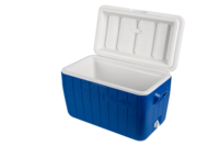 Glacière isotherme moderne 46L en PE pour pique-niques, pêche, fêtes en plein air et canettes - Maintien au froid 72H