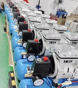China Fabriek Hot Selling Kleine Stille Draagbare Olie Vrije Luchtcompressor 9l Elektrische Auto Airconditioning Compressor