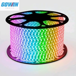 Alta calidad AC110V 220V 60leds/M tubo de una sola fila impermeable IP67 5050RGB tira de LED para exteriores - Product Image 6