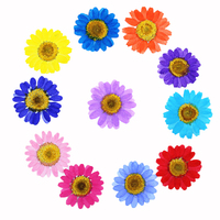 Bunga Daisy Asli Kering dan Ditekan, Model PDH Airy Brand 2026, Pewarnaan Tengah Buatan Tangan, Tanpa Pewarna, untuk Kerajinan Resin, Kuku, dan Scrapbook