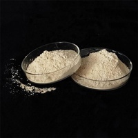 Poudre de magnésie légère brûlée, poudre d'oxyde de magnésium MgO 85% 90% 92% 120 Mesh CCM pour la désulfuration des gaz de combustion