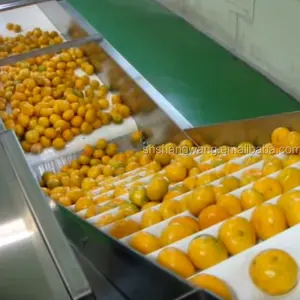 Équipement de traitement de jus de fruits à petite échelle