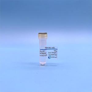 Matière première des réactifs chimiques HBcAb-HRP de biotechnologie de Clongene pour le kit rapide d'essai - Product Image 4