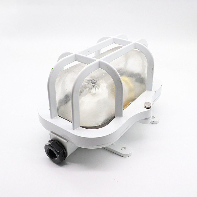 CCD2-1-2D Marine Working Light Aluminum Alloy Incandescent LED IP66 Waterproof for Work Underwater