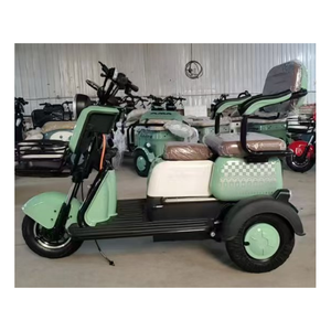 Tricycle Électrique à <span class=keywords><strong>3</strong></span> <span class=keywords><strong>Roues</strong></span> en Promotion – Tricycle Passager, Vélo Électrique de Transport, E-Bike pour Adultes - Product Image 2