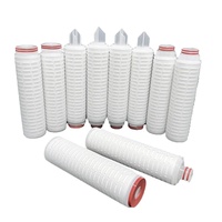 10 pouces 0.04 microns PES Membrane filtre à eau filtre endotoxine PES Membrane cartouche filtrante plissée avec DOE/222/226