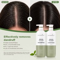 Shampooing Professionnel en Gros 800ml Équilibre Microbiome Arbre à Thé Gingembre Anti-pelliculaire Nettoyage Profond du Cuir Chevelu et des Cheveux