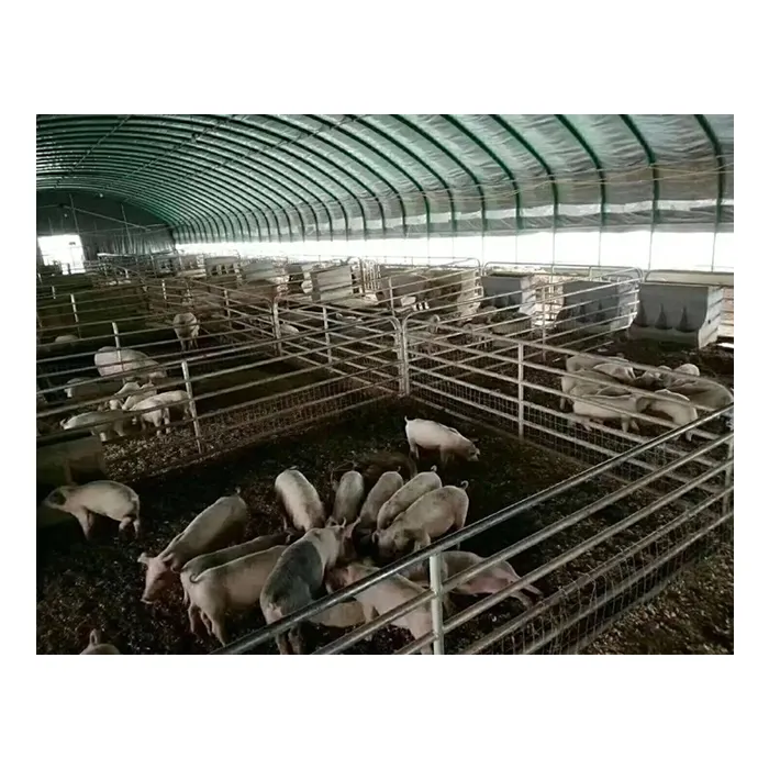 China Metal Frame Prefabricated Pig Farm House Building Steel Structure Pig Shed Construction